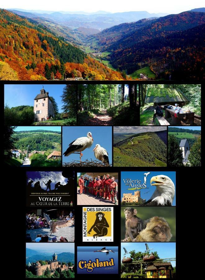 Gite De La Chapelle Des Mineurs แซ็งต์-มารี-โอ-มีน ภายนอก รูปภาพ
